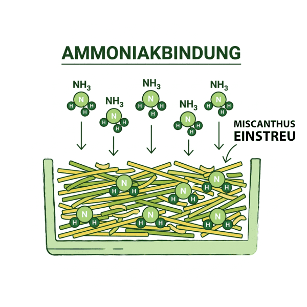 ammoniak bindung miscanthus einstreu