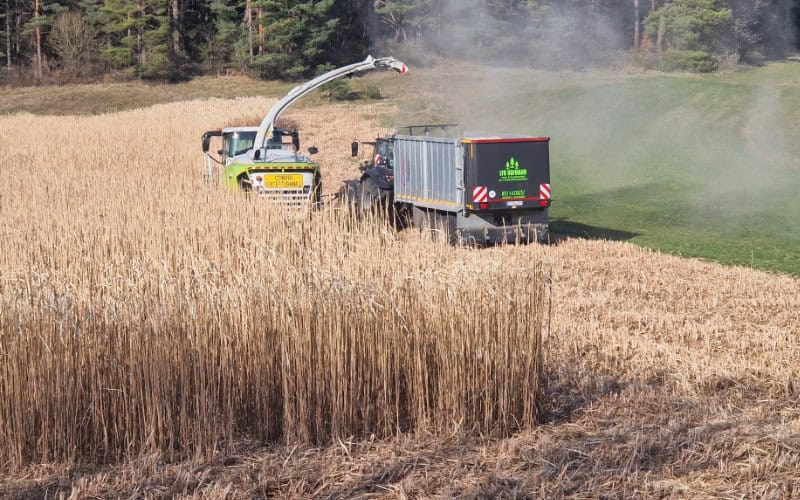 miscanthus ernte traktor 06