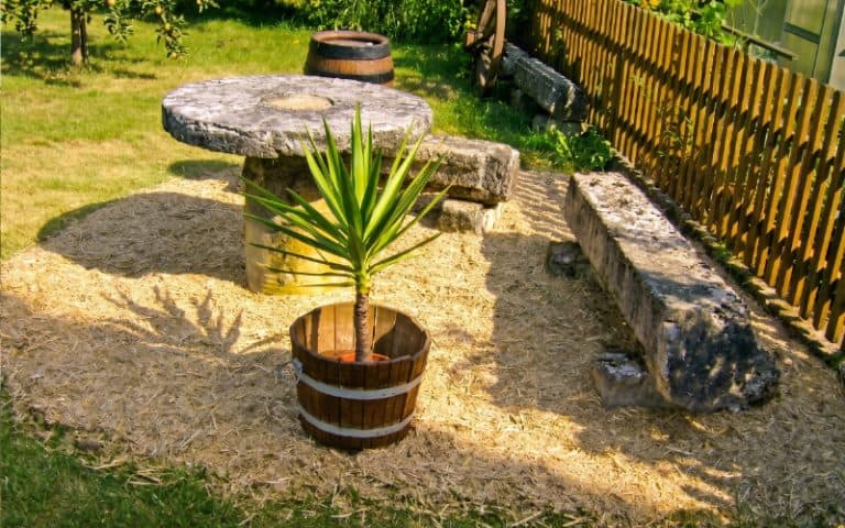 miscanthus gartenmulch 02