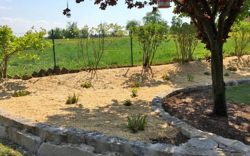 miscanthus gartenmulch