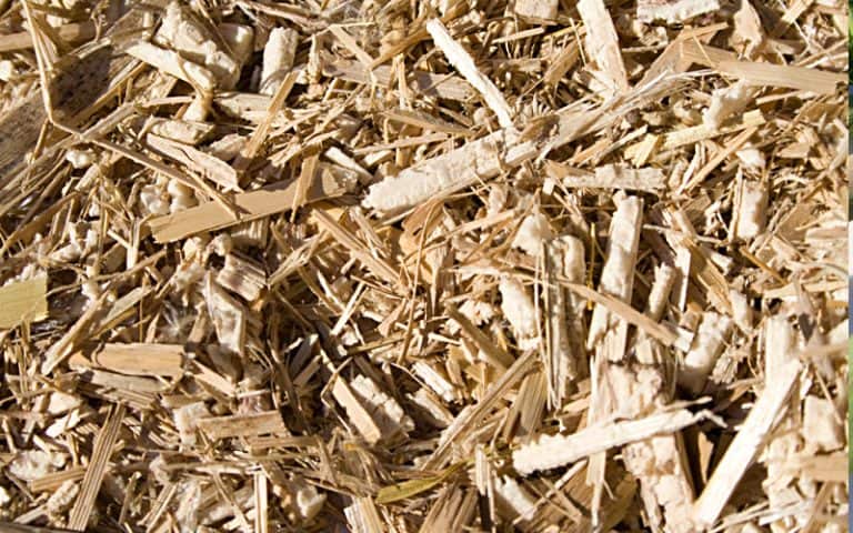 miscanthus getrocknet 02