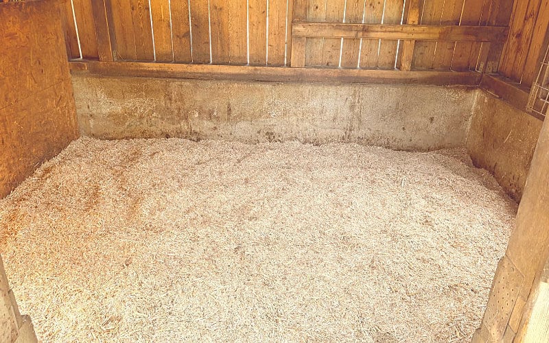 miscanthus lagerung 04